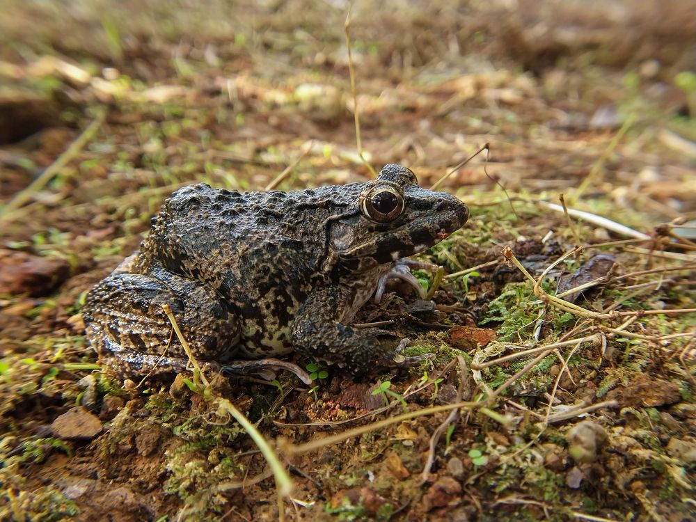 Photograph by Terence Ignatius