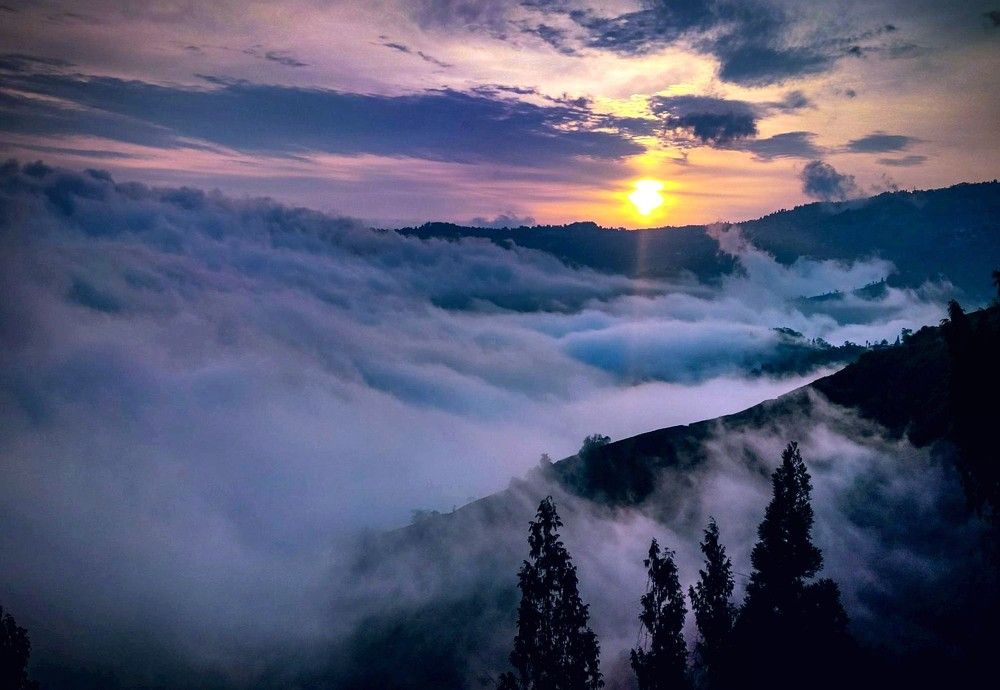 Beauty of creation
