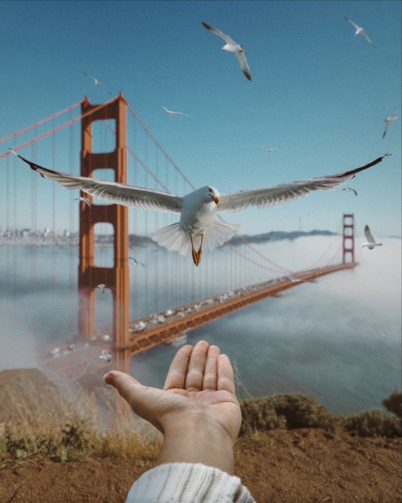 Photograph by Марина Пономарева