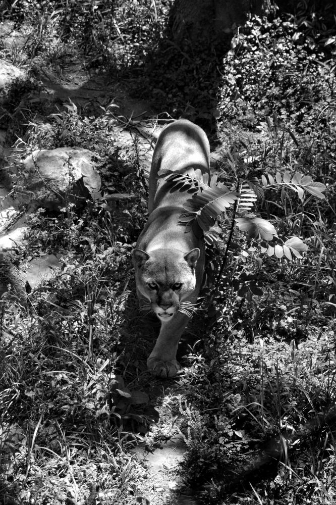 Photograph by Andrés Valencia