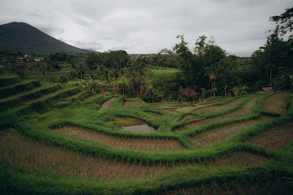 Photograph by Катерина Козачук