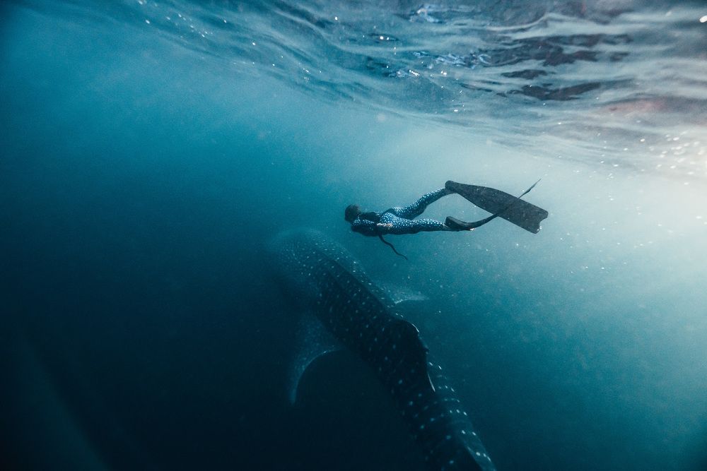 Photograph by Юрий Смольницкий