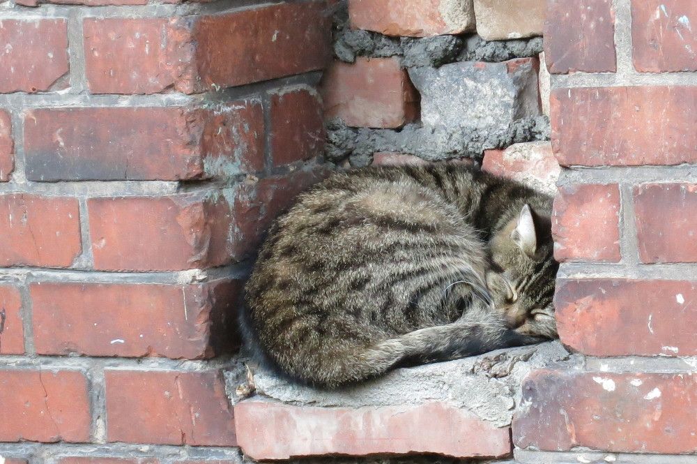 Photograph by Ирина Шведчикова