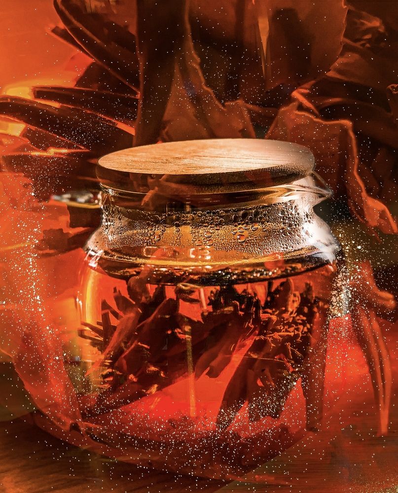 Фотография автора Светлана Гончарова