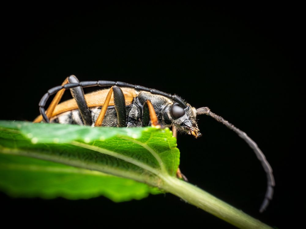 Photograph by Gevork Gukasyan