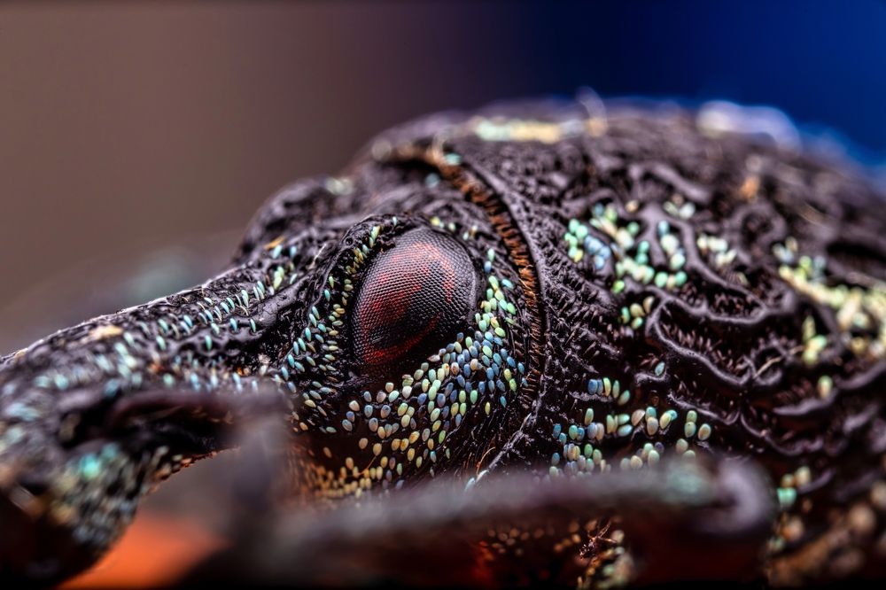 Photograph by Gevork Gukasyan