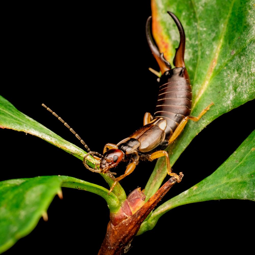 Photograph by Gevork Gukasyan