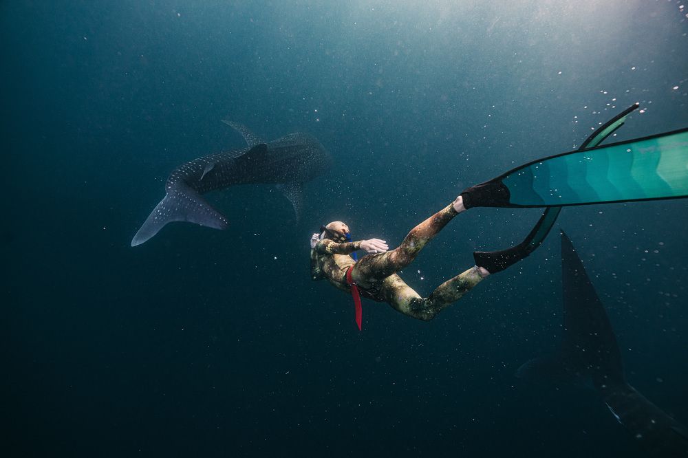 Photograph by Юрий Смольницкий