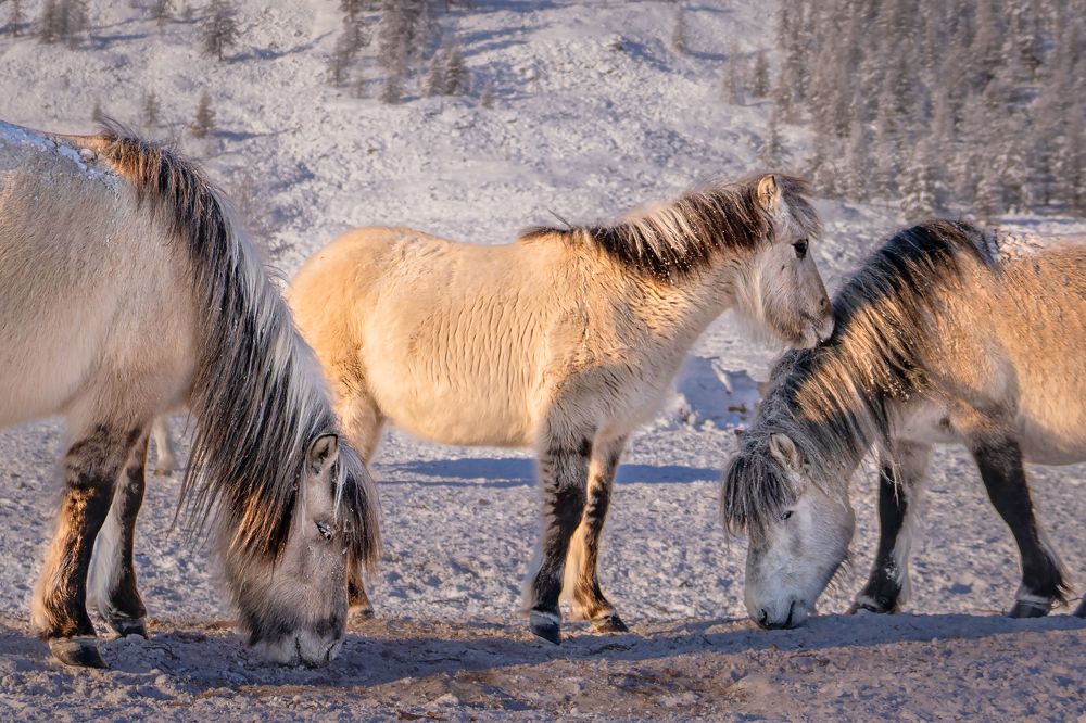 Photograph by Ольга Мусиенко