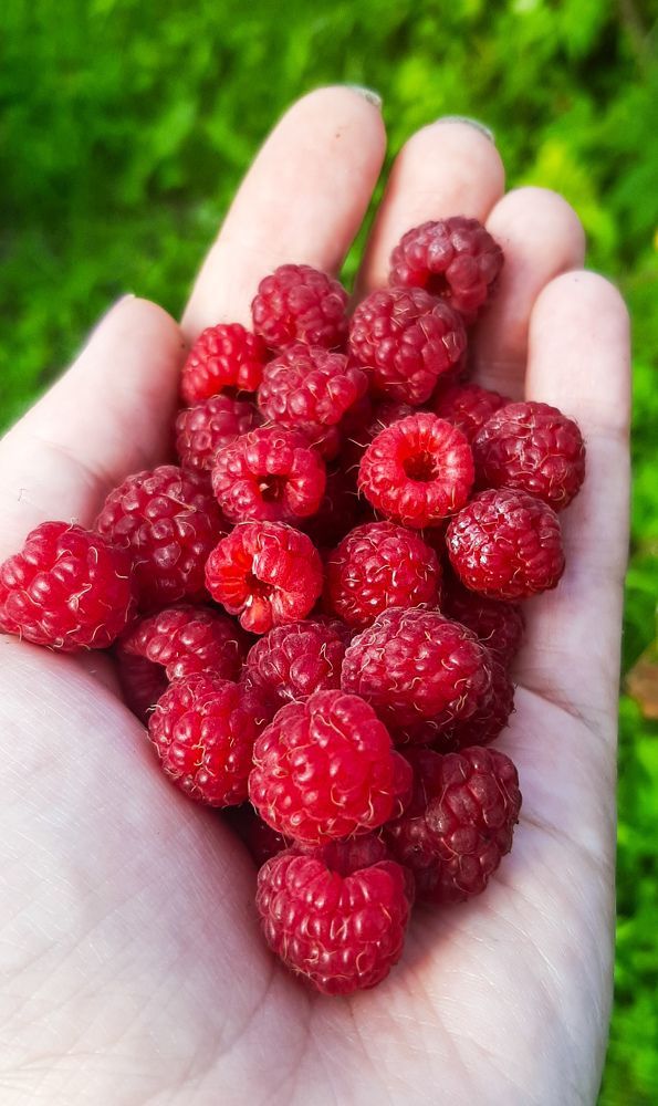 Фотография автора Валерия