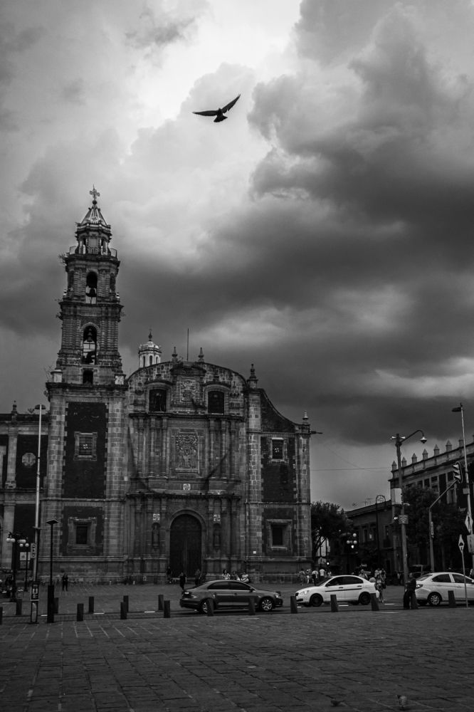 Photograph by Cesar Torres