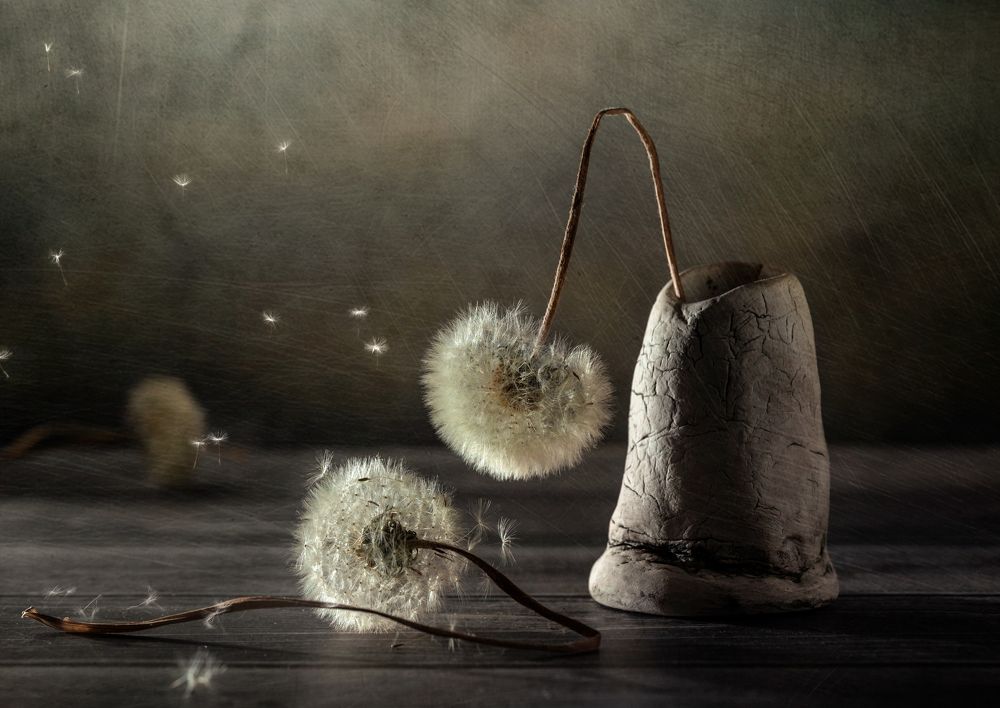 Photograph by Ирина Толокновская