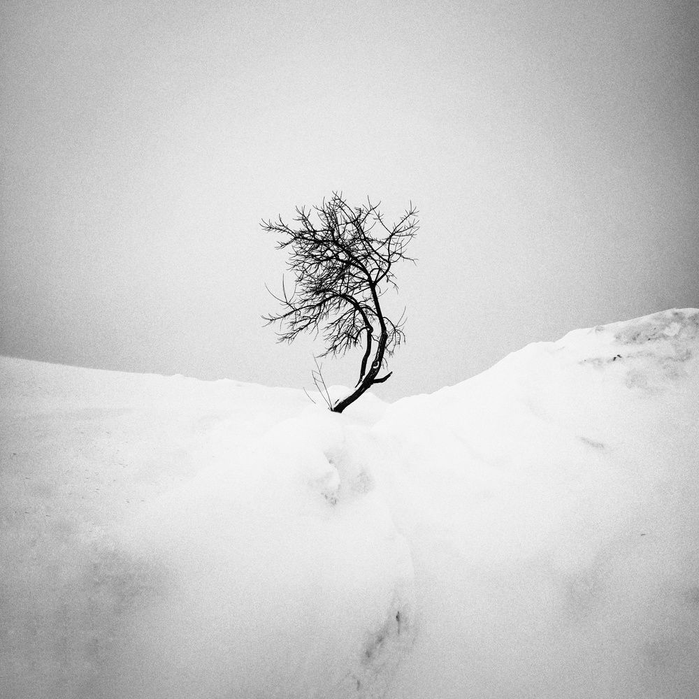 Photograph by Александр Соколов