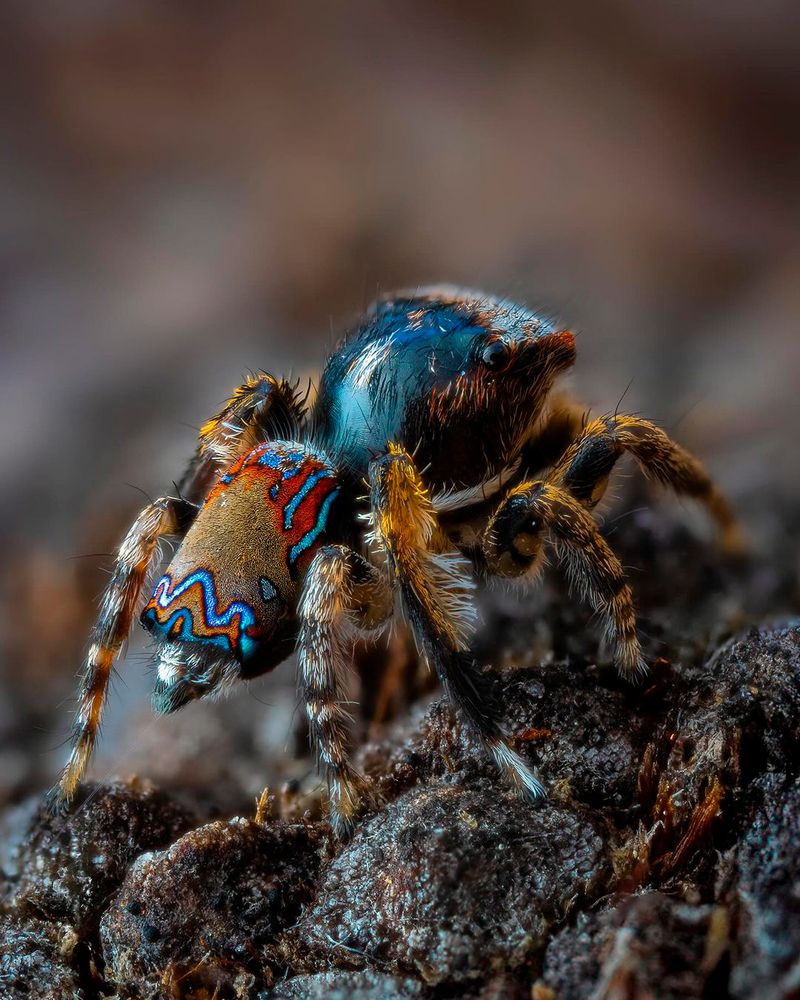 Photograph by Otto Acosta