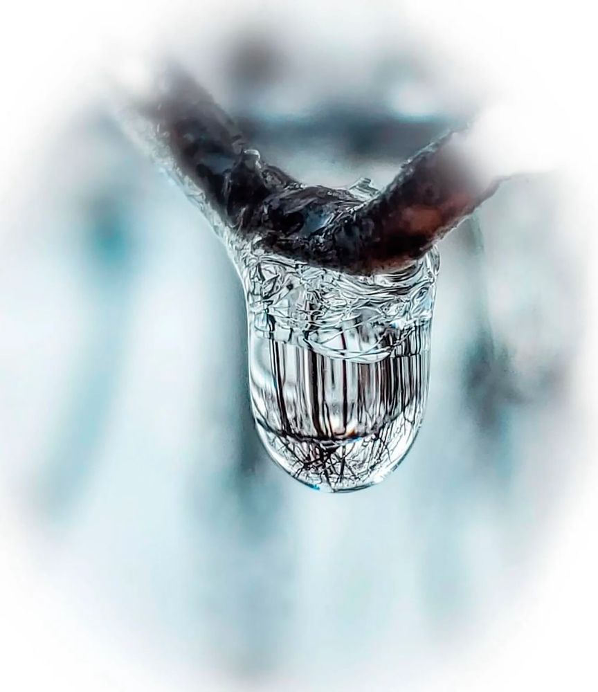 Photograph by Otto Acosta