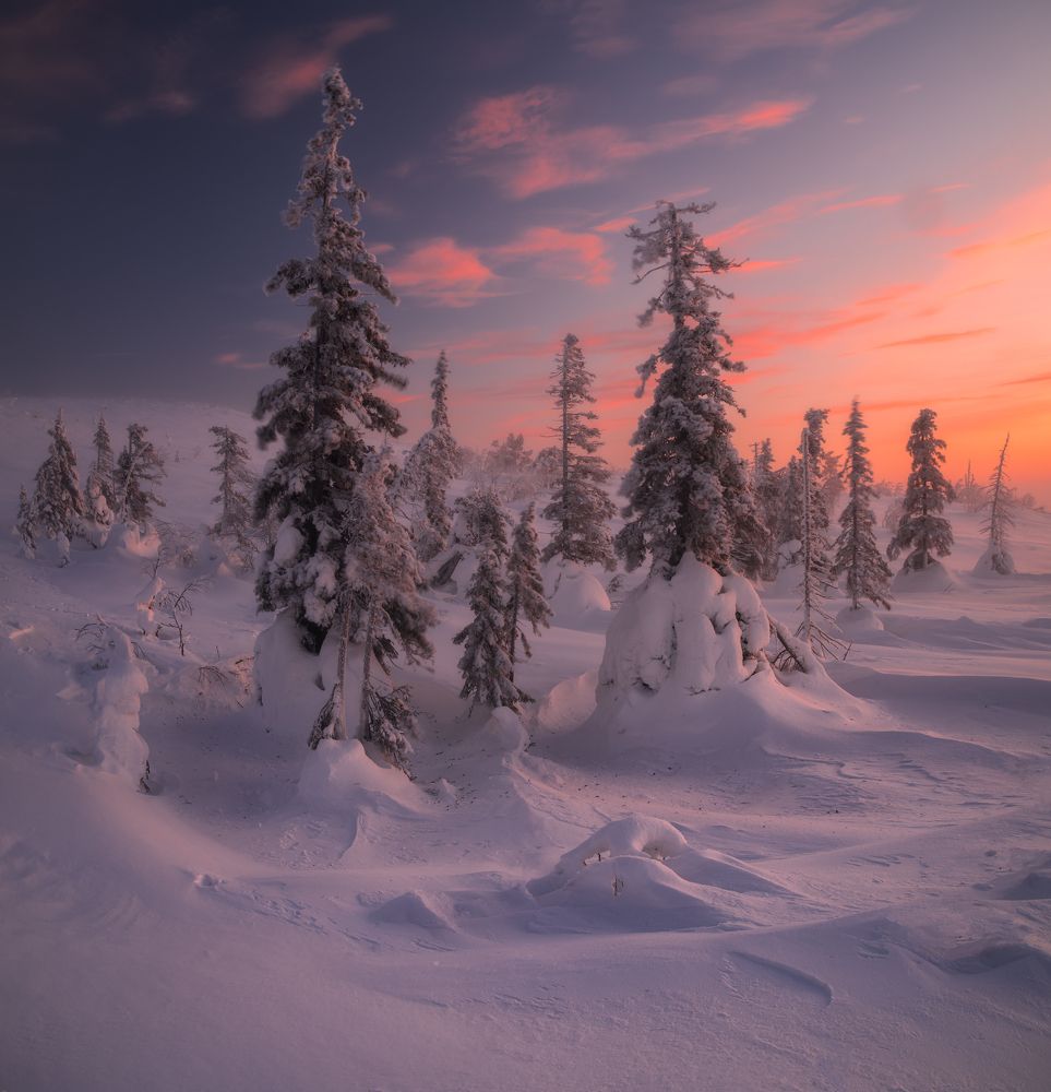 Photograph by Истомин Виталий