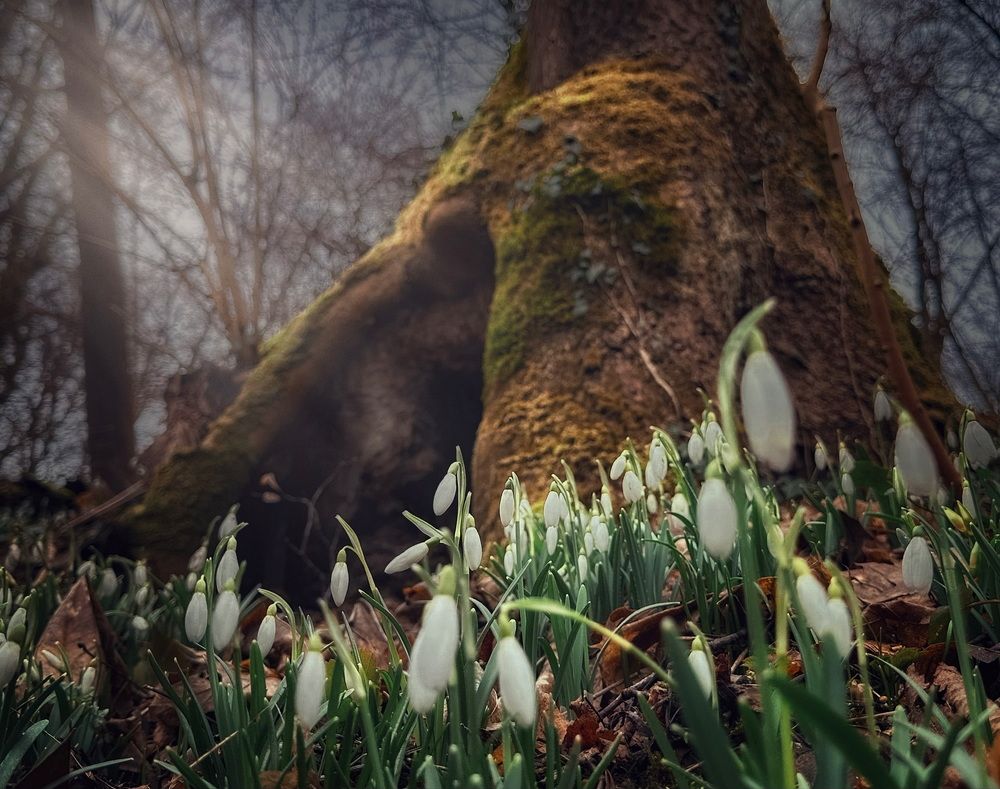 Photograph by Ирина Саакова