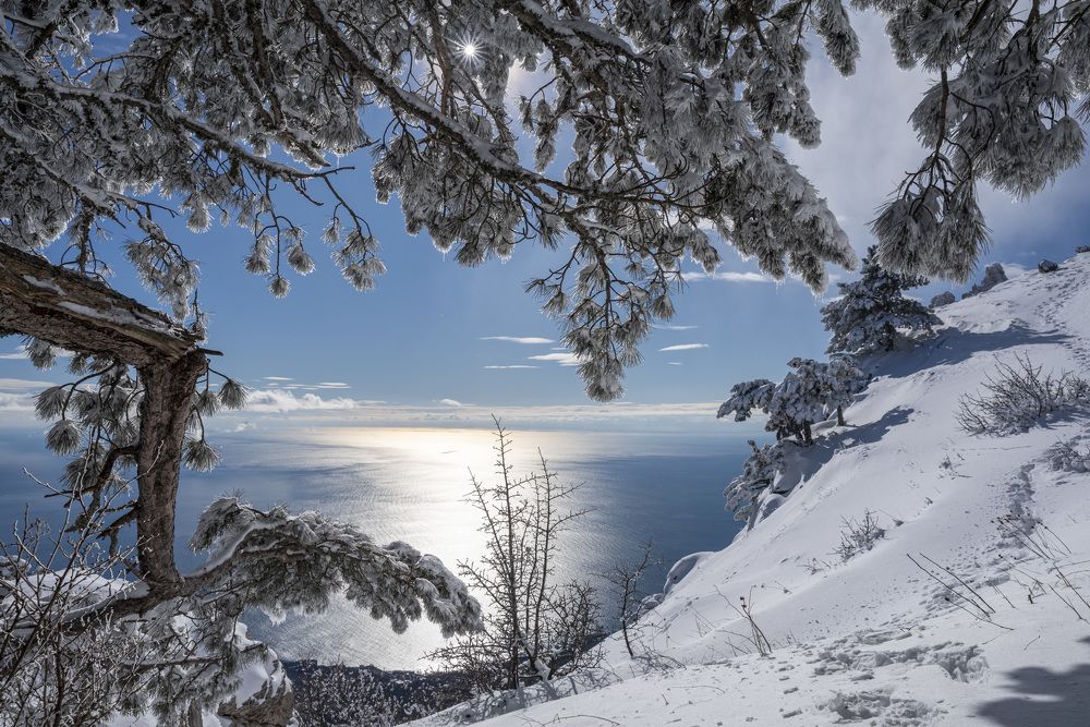 Photograph by Виктор Филипчук