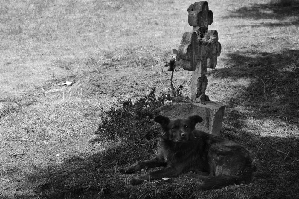 Photograph by Andrés Valencia