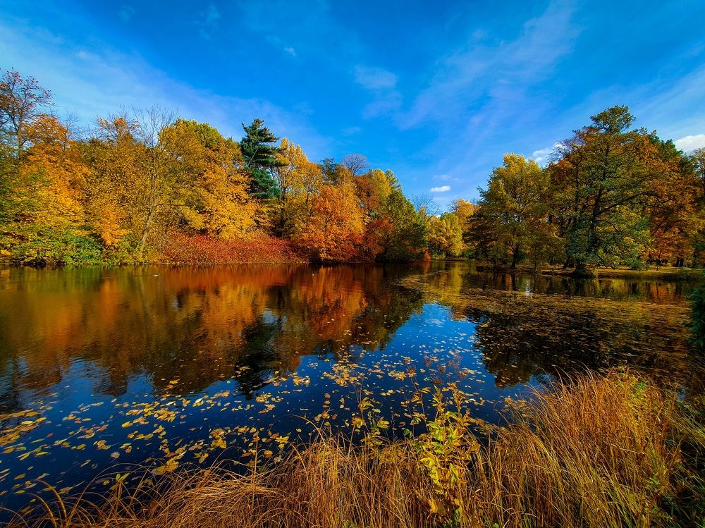 Яркие краски осени.