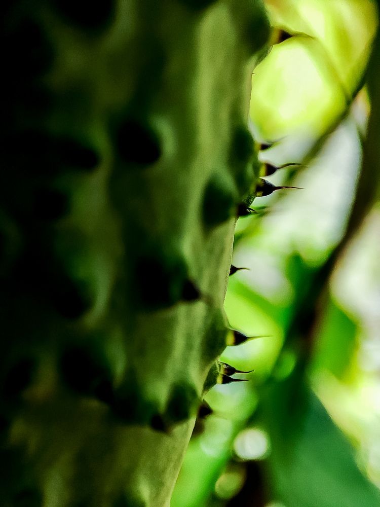 Photograph by Людмила Сергеева