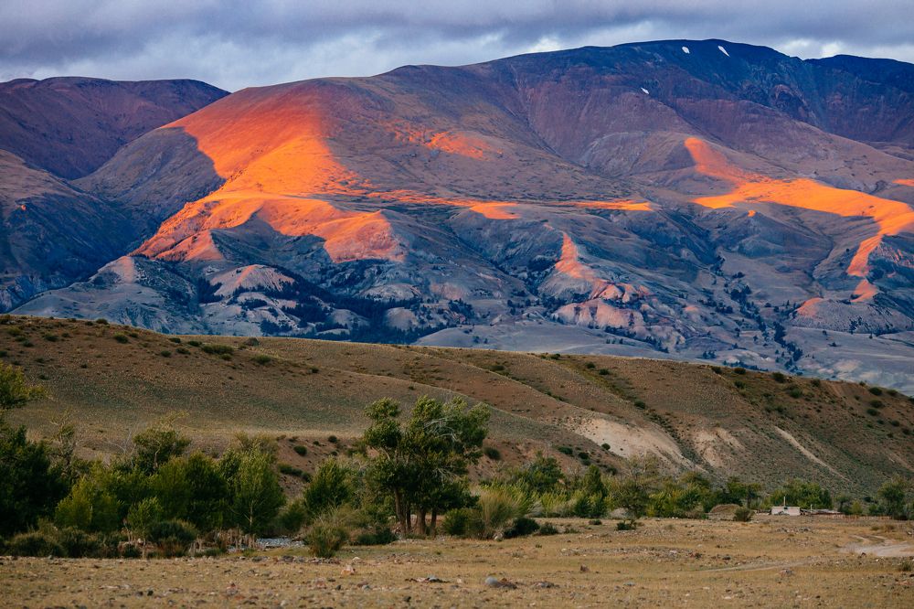 Фотография автора Анна Рыжкова