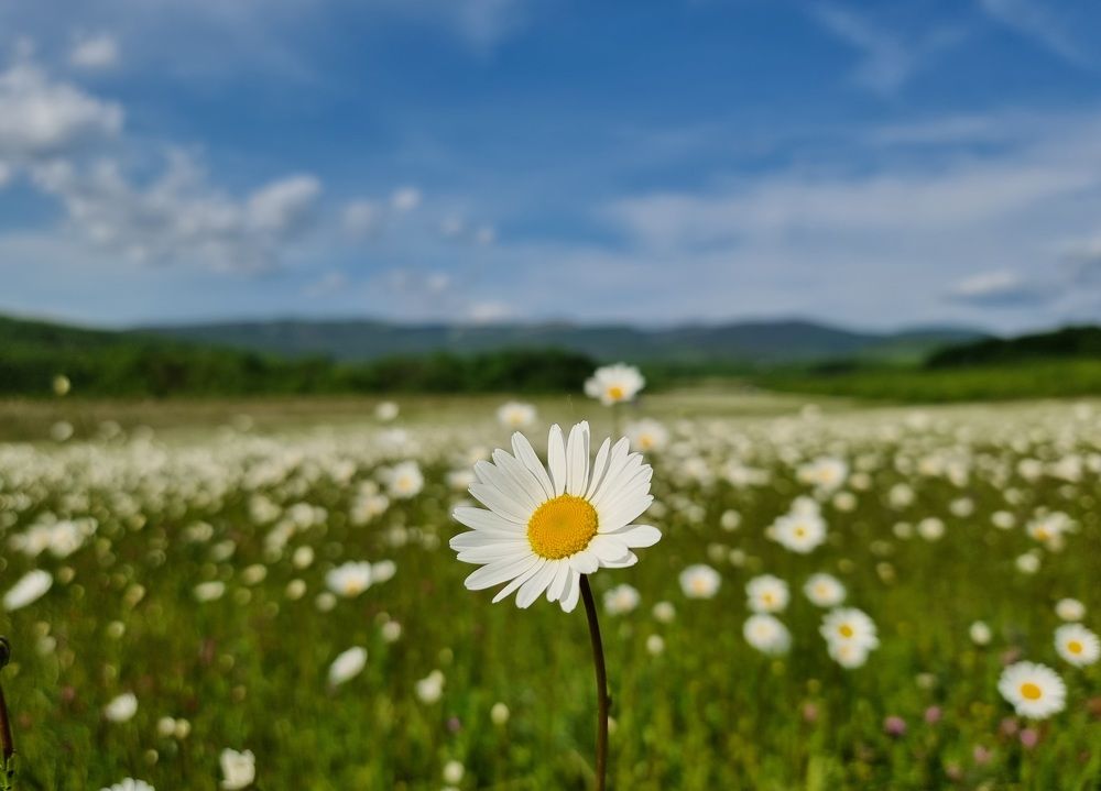 Photograph by Евгений Фесенко