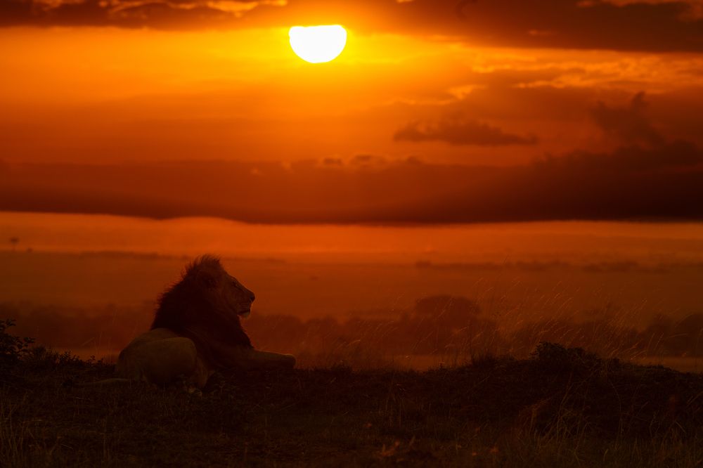 Photograph by Sai Kiran Bhagavatula