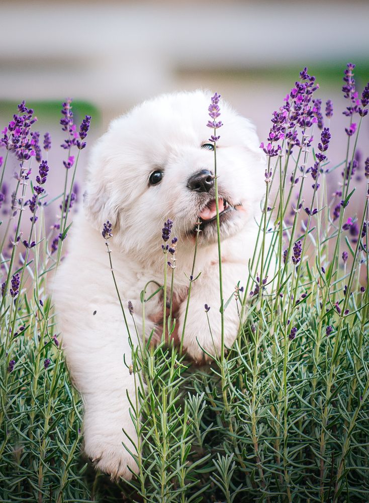 Photograph by Юлия Сухарева