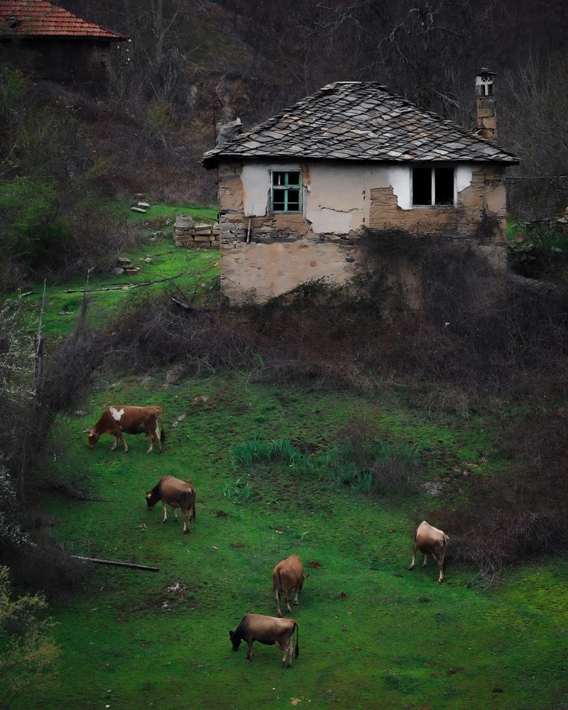 Фотография автора Artemi Artemov