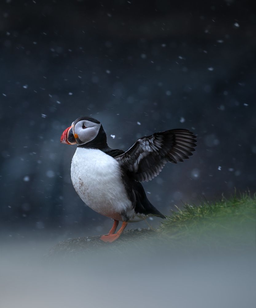 Photograph by Roberto De Simone