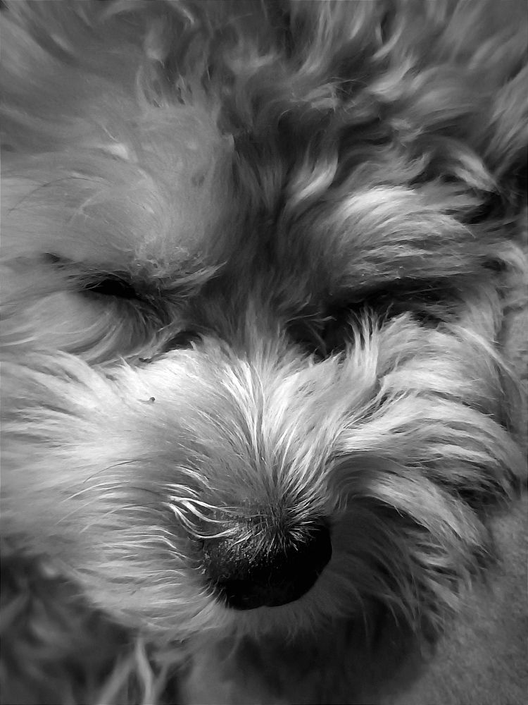 Photograph by Nikita Zorin