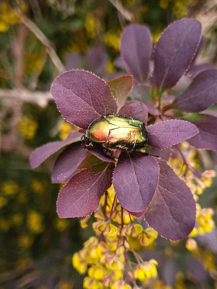 Photograph by Дарья Целуйко