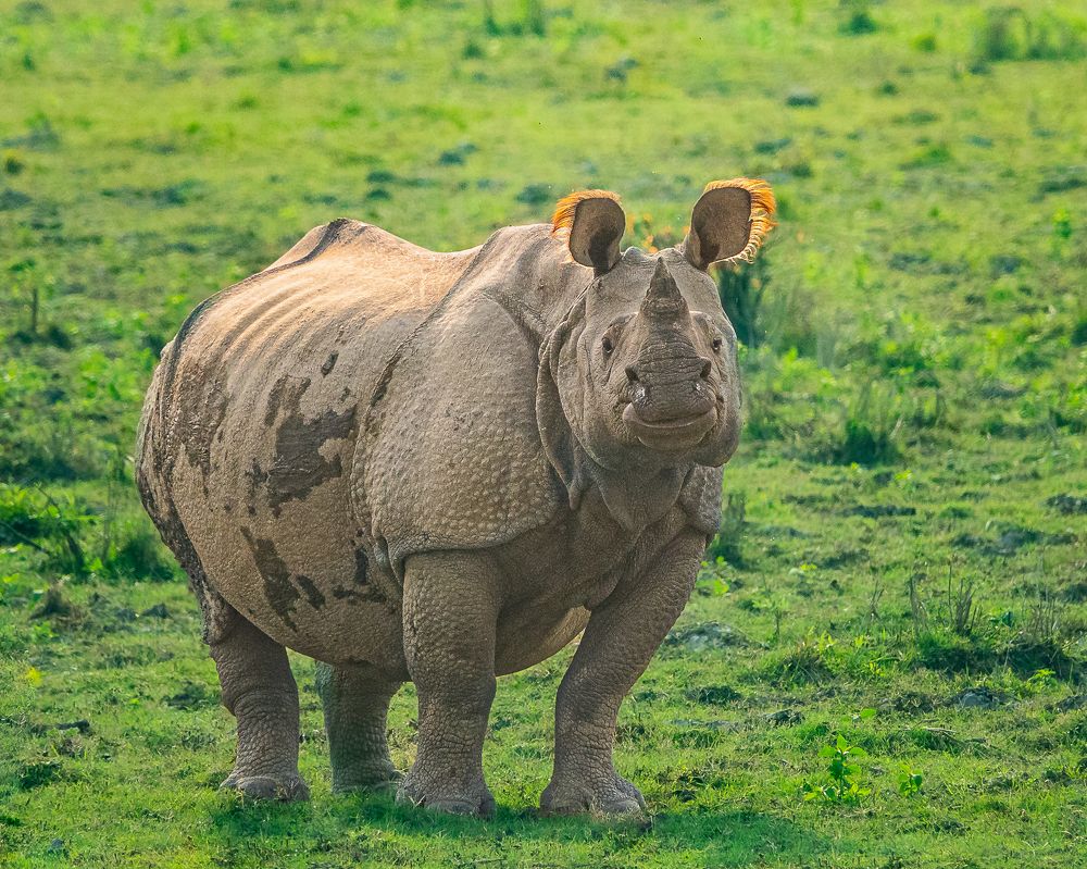 Photograph by Arango K