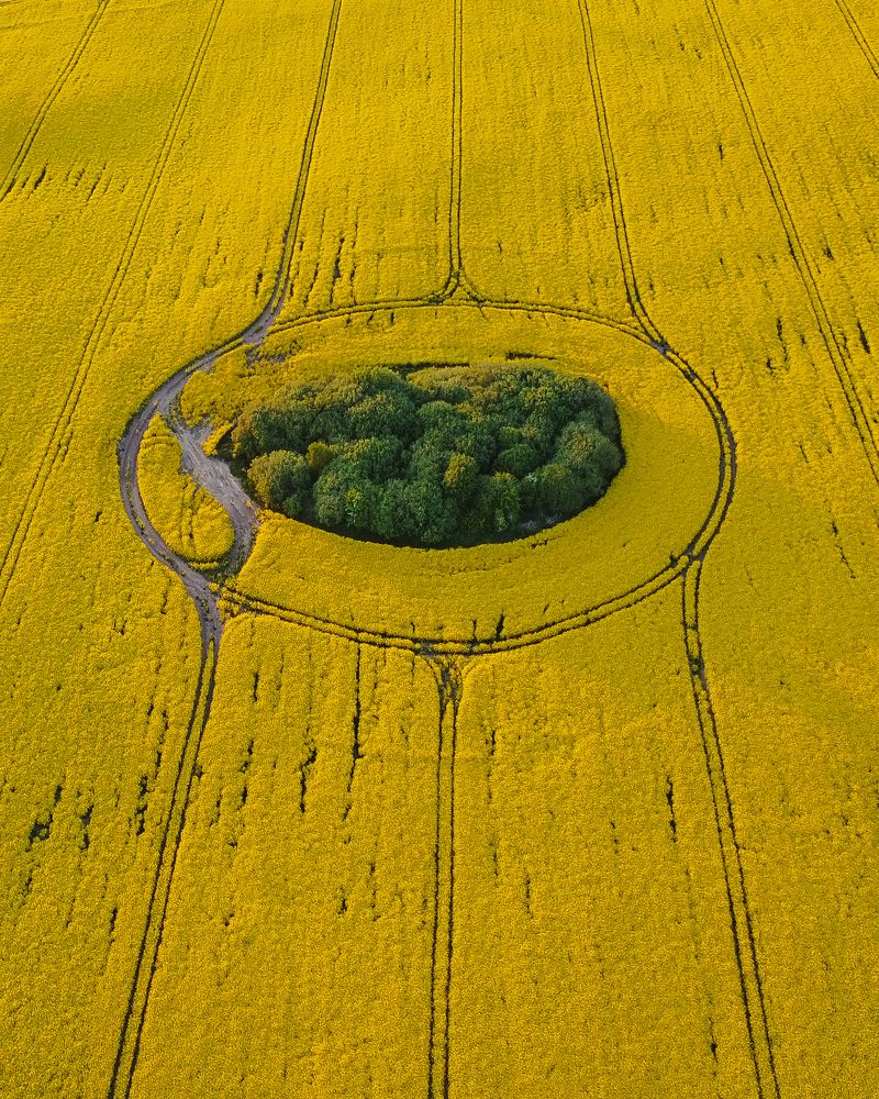 Photograph by Наталья Брюхненко