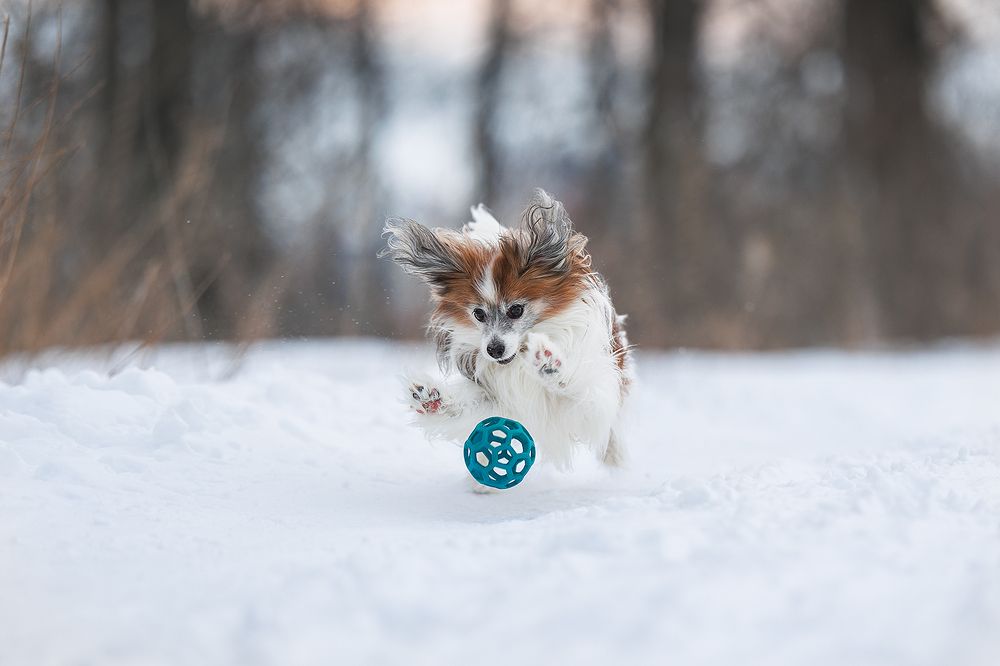 Photograph by Шитиков Владимир