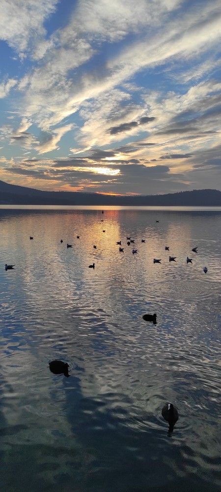 Photograph by Марина Ланг