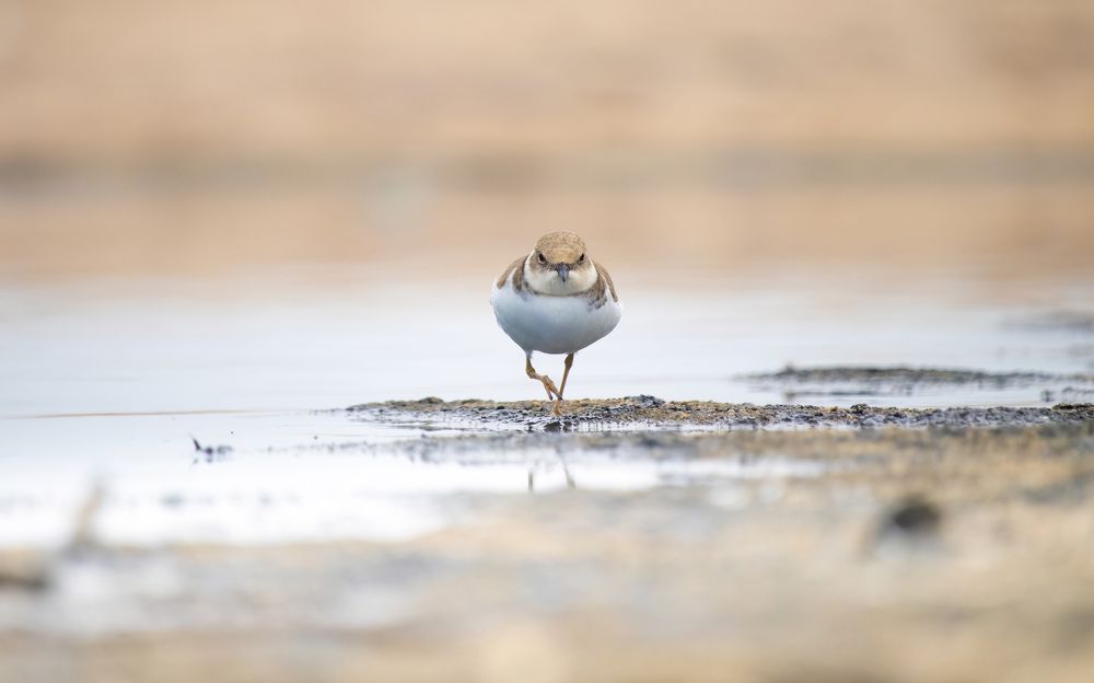 Photograph by Deepak KGK