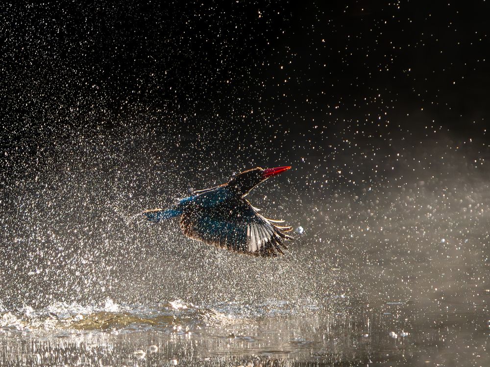 Photograph by Vipin P C