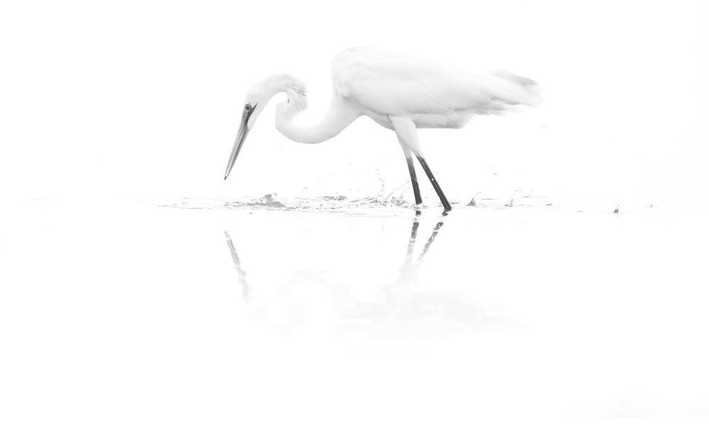 Photograph by Deepak KGK