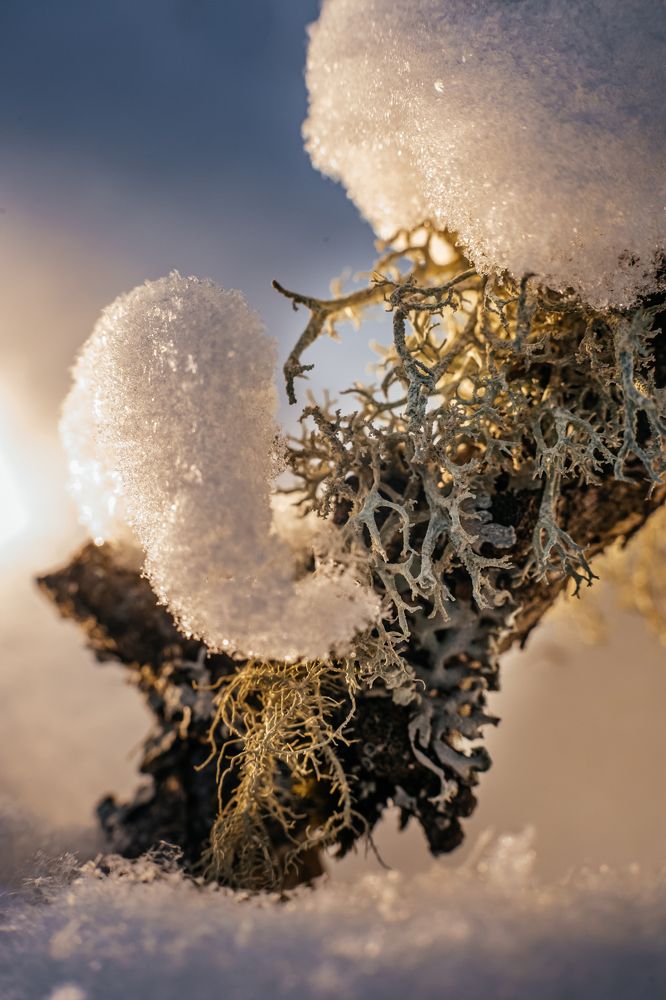 Photograph by Корчагина Оксана