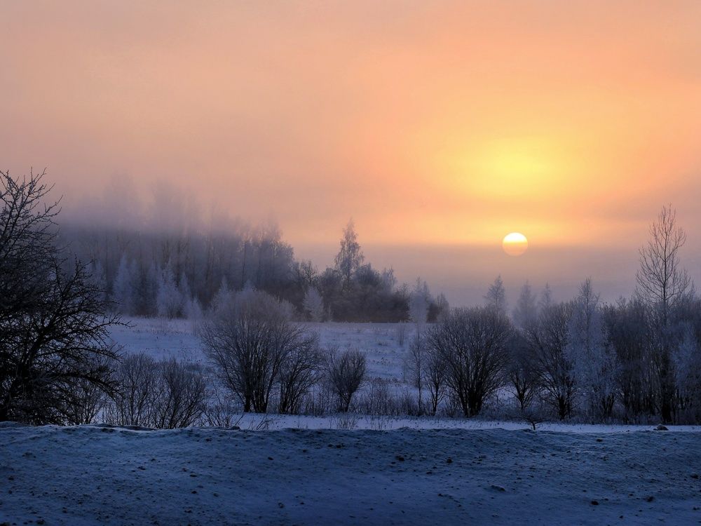 Солнце взойдет