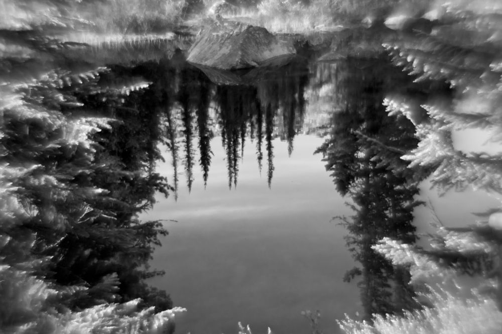 Photograph by Корчагина Оксана