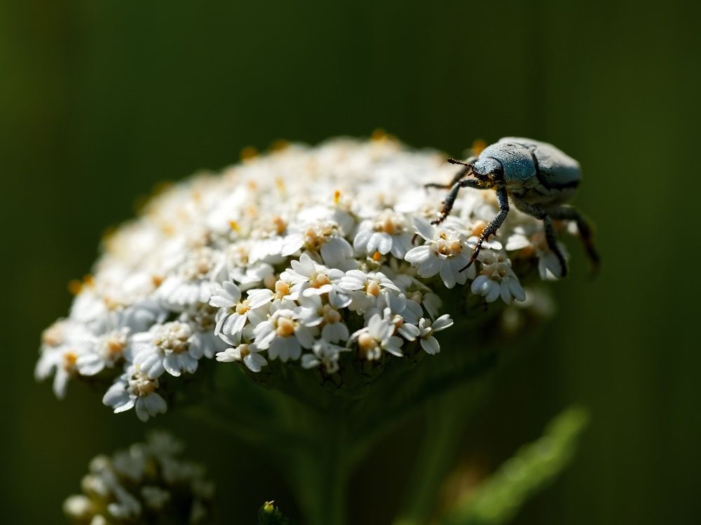 Фотография автора Юрий Кашлевский