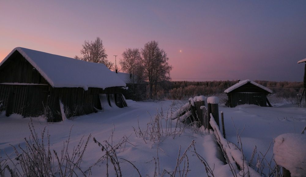 Фотография автора Александра Барнагян