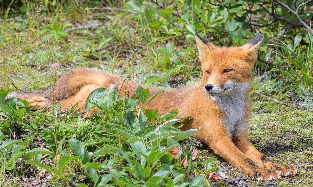 Photograph by Евгений Владимиров