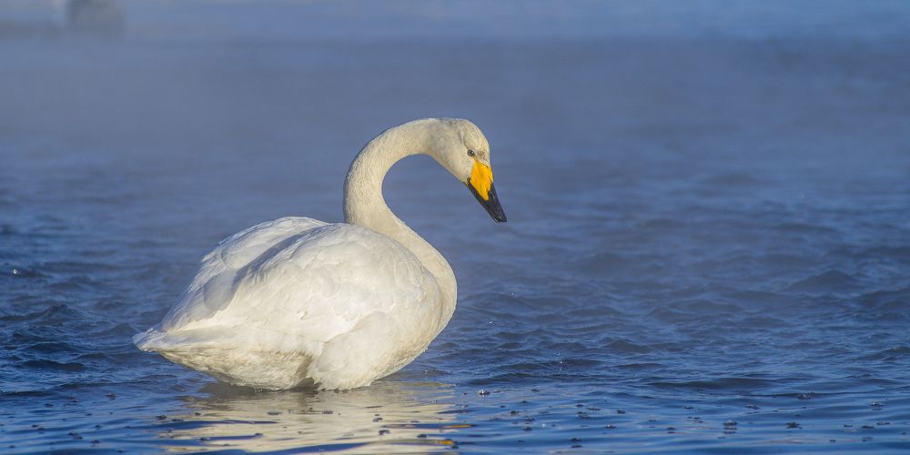 Photograph by Евгений Владимиров