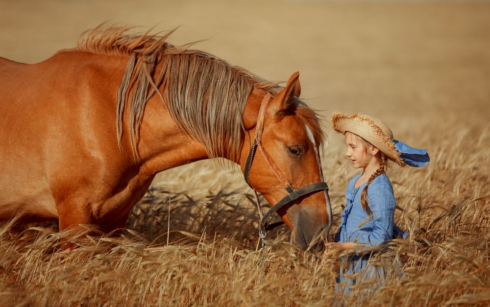Фотография автора Юлия Онучина