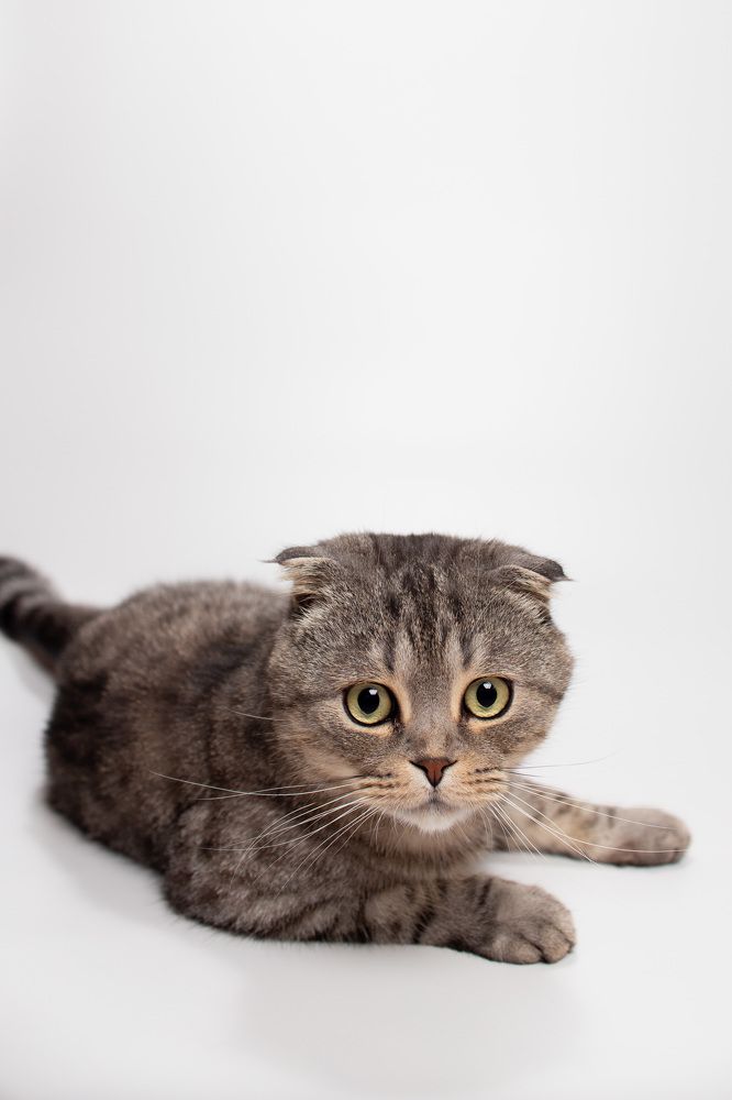 Photograph by Дмитрий Кононенко