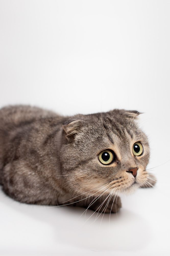 Photograph by Дмитрий Кононенко